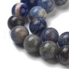 Natural Sodalite Beads Strands GSR8mmC013-1-3