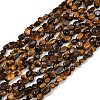 Natural Tiger Eye Beads Strands G-Q060-D08-2