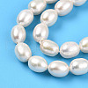 Natural Cultured Freshwater Pearl Beads Strands PEAR-N012-06X-01-4