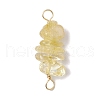 10Pcs 5 Styles Constellation Natural Garnet & Rose Quartz & Tiger Eye & Amethyst & Strawberry Quartz Copper Wire Wrapped Chip Beaded Connector Charms PALLOY-JF02905-11-3
