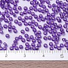 MIYUKI Round Rocailles Beads SEED-X0054-RR1347-3