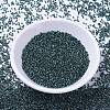 MIYUKI Delica Beads SEED-X0054-DB1006-2