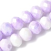 Electroplate Handmade Lampwork Beads Strands LAMP-S068-11A-3