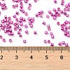 Electroplate Glass Seed Beads SEED-S042-01B-15-4
