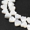 Natural Trochid Shell/Trochus Shell Beads Strands BSHE-E026-19-4