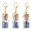 Natural Lapis Lazuli Chips inside Glass Wishing Bottle Pendant Decoration HJEW-JM03307-03-2