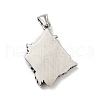 304 Stainless Steel Pendants STAS-C053-21AS-2