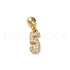 925 Sterling Silver Micro Pave Clear Cubic Zirconia European Dangle Charms STER-A045-01G-5-1