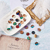 Craftdady Resin & Walnut Wood Stud Earring Findings MAK-CD0001-06-7