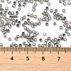 Glass Seed Beads X-SEED-S042-04B-31-4