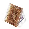 Orgonite Pyramid Resin Energy Generators DJEW-D013-05G-3