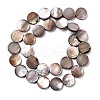 Natural Sea Shell Beads Strands SSHEL-D084-13A-2