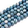 Natural Gemstone Beads Strands G-L367-01-10mm-4