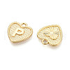 Alloy Pendants PALLOY-N157-001P-NR-2