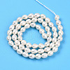 Natural Cultured Freshwater Pearl Beads Strands PEAR-N012-05X-01-3