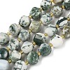 Natural Tree Agate Beads Strands G-U023-A15-01-2