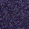 MIYUKI Delica Beads SEED-J020-DB1756-3