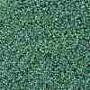 TOHO Round Seed Beads SEED-XTR11-0699-2