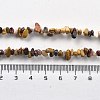 Natural Mookaite Chip Beaded Necklaces for Men Women NJEW-G159-01K-5