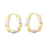 Brass Two Tone Oval Hoop Earrings EJEW-B117-04-4