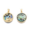 Synthetic Abalone Shell/Paua Shell Pendants KK-A165-12G-1