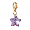 Electroplate Glass Star Pendant Decoration HJEW-JM01583-01-3