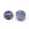 Natural Blue Spot Jasper Cabochons G-R416-14mm-45-2