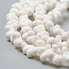Natural Spiral Shell Beads Strands BSHE-I011-11C-3