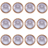 Gorgecraft 12Pcs ABS Plastic Shank Buttons BUTT-GF0003-47C-1