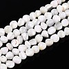 Natural Trochid Shell/Trochus Shell Beads Strands SSHEL-N040-06-1