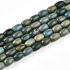 Natural Shoushan Jade Beads Strands G-N346-02A-03-2