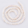 Natural Cultured Freshwater Pearl Beads Strands PEAR-N010-02B-01-3