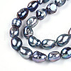 Natural Cultured Freshwater Pearl Beads Strands PEAR-N014-08K-01-4