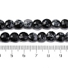 Natural Snowflake Obsidian Beads Strands G-C179-A33-03-5
