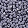 Baking Painted Glass Seed Beads SEED-C004-01A-3