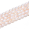 Natural Cultured Freshwater Pearl Beads Strands PEAR-N012-04T-01-5