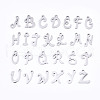 Non-Tarnish 201 Stainless Steel Charms STAS-T044-217P-1