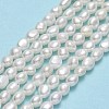 Natural Cultured Freshwater Pearl Beads Strands PEAR-A005-12-01-2