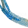 Natural Blue Green Yellow Apatite Beads Strands G-NH0050-B01-01-5
