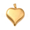 304 Stainless Steel Pendants STAS-H200-01G-06-1