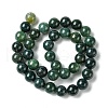 Natural Moss Agate Beads Strands GSR10mmC001-4