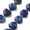 Natural Lapis Lazuli Beads Strands G-B044-B19-01-2