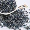 Iris Glass Seed Beads SEED-Z001-C-D06-1