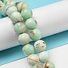 Natural Green Opal Beads Strands G-R494-A08-04-4