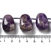 Natural Amethyst Beads Strands G-P528-E06-01-4