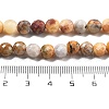 Natural Crazy Agate Beads Strands G-C179-A22-02-5