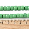 Handmade Lampwork Beads Strands LAMP-I030-02G-4