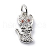 Brass Micro Pave Cubic Zirconia Charms ZIRC-F131-07P-1