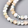 Luminous Natural Seashell Shell Beads Strands SSHEL-N040-05-4