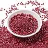 MIYUKI Round Rocailles Beads X-SEED-G008-RR0425-2